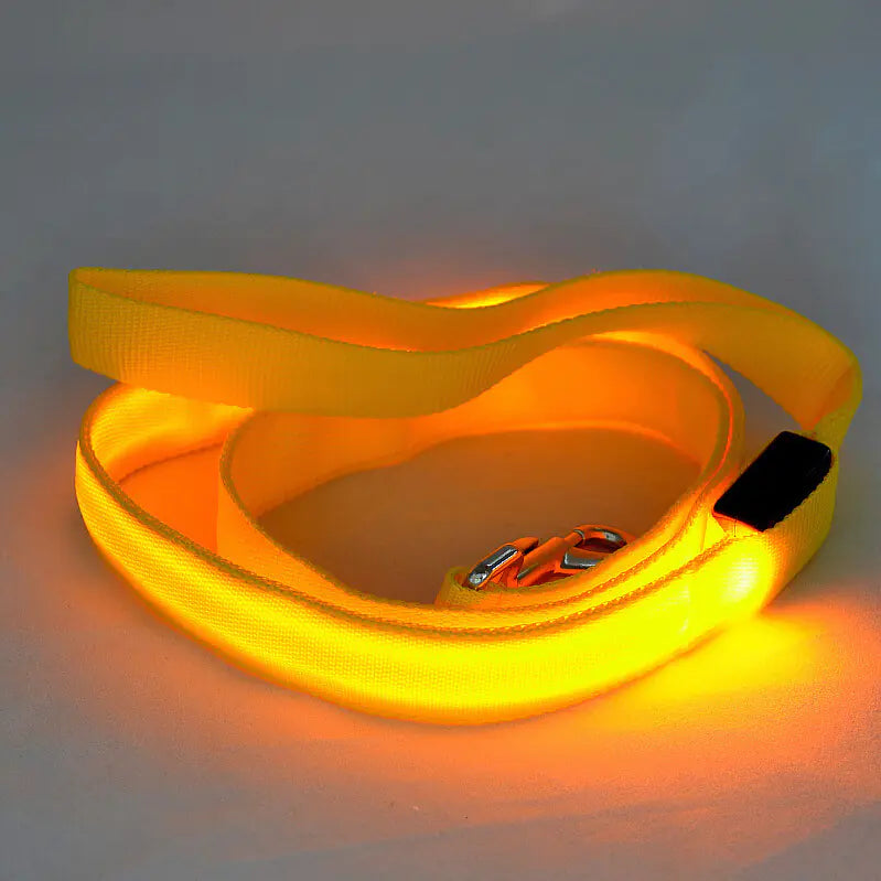LED Safety Dog Leash – Light-Up for Night Walks
