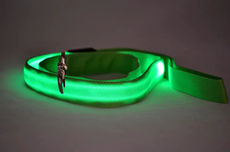 LED Safety Dog Leash – Light-Up for Night Walks