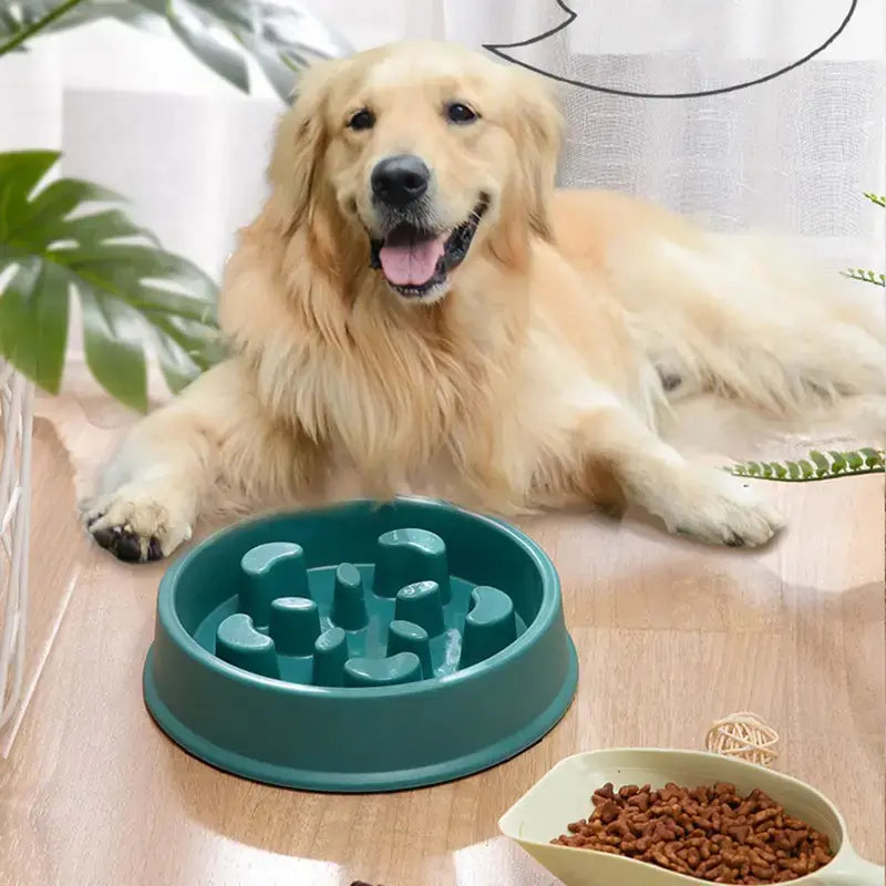 Petal Puzzle Bowl – Anti-Slip Slow Feeder for Dogs