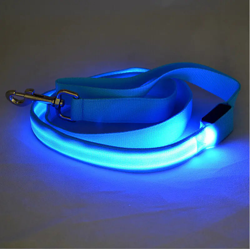 LED Safety Dog Leash – Light-Up for Night Walks