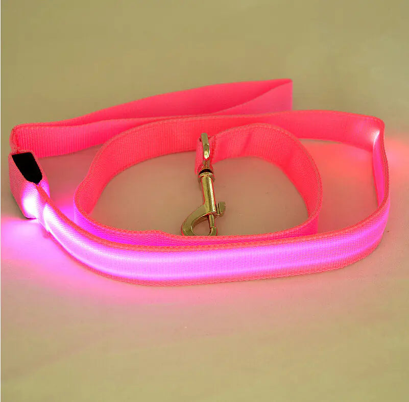 LED Safety Dog Leash – Light-Up for Night Walks