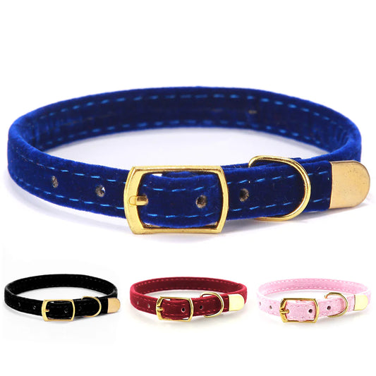 Adjustable Cat Collar – Soft Nylon with Safety Buckle