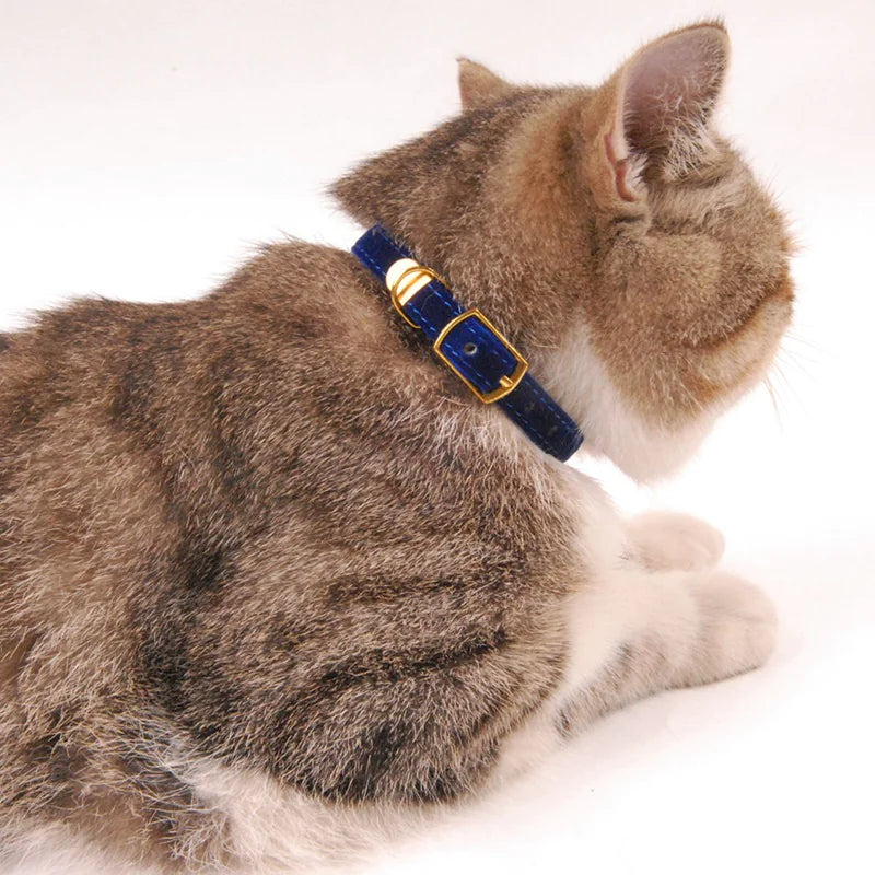 Adjustable Cat Collar – Soft Nylon with Safety Buckle